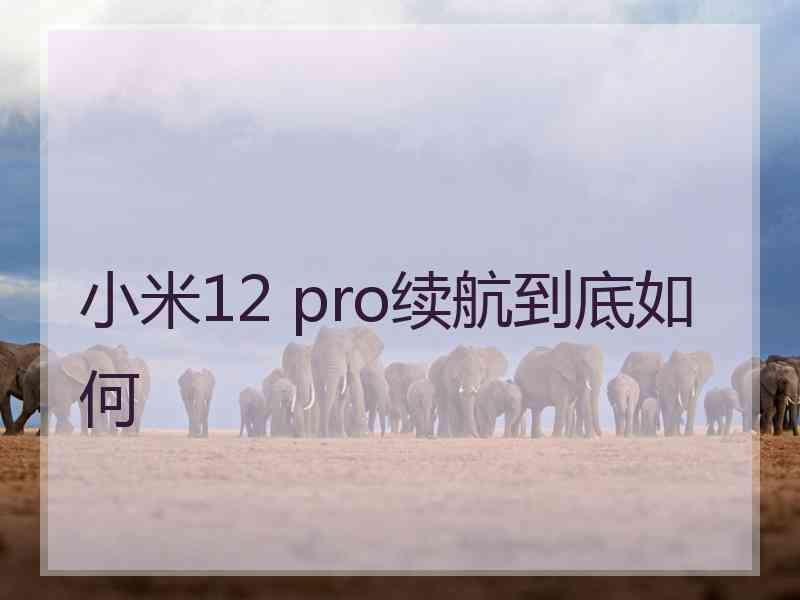 小米12 pro续航到底如何