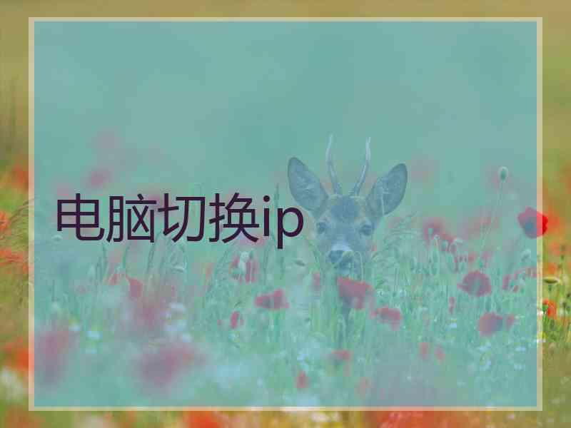 电脑切换ip