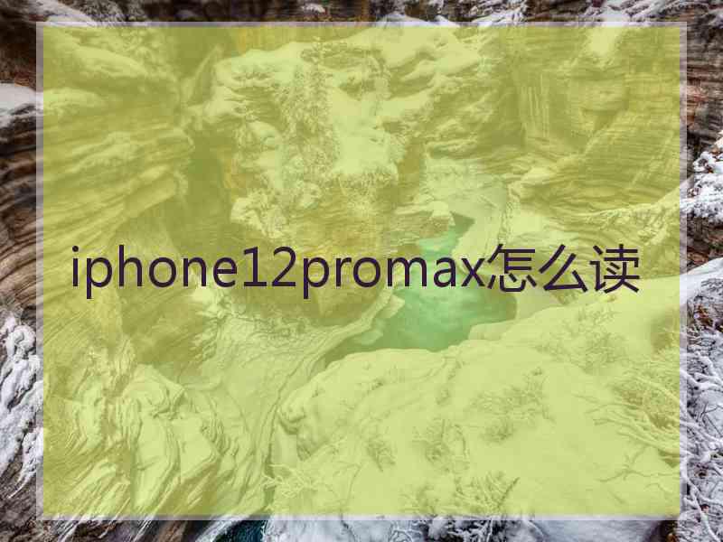 iphone12promax怎么读