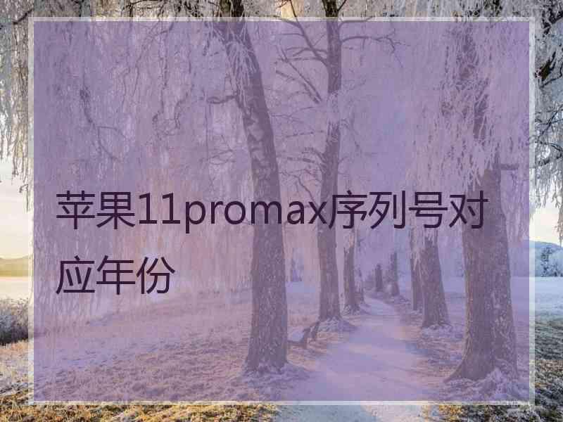 苹果11promax序列号对应年份