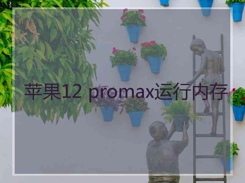 苹果12 promax运行内存