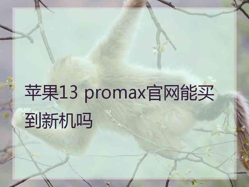 苹果13 promax官网能买到新机吗