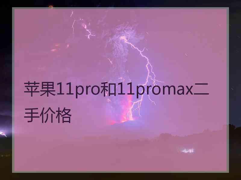 苹果11pro和11promax二手价格