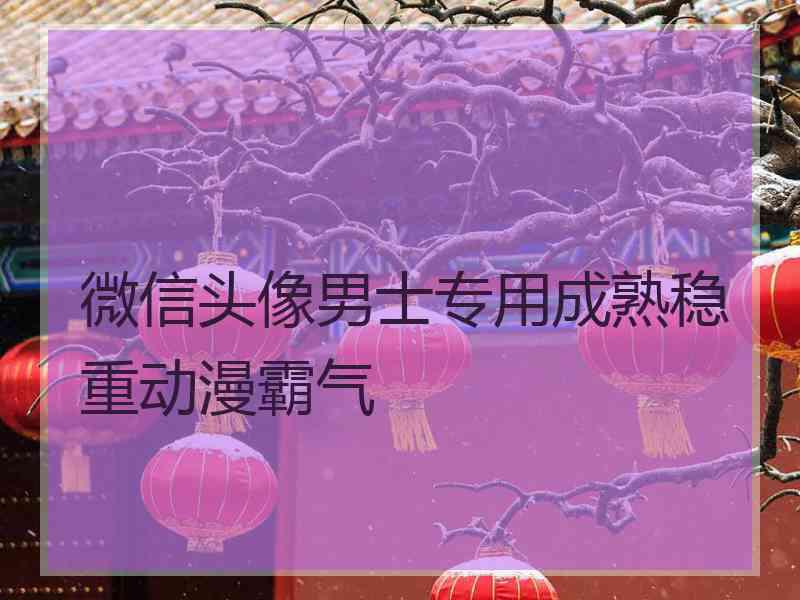 微信头像男士专用成熟稳重动漫霸气