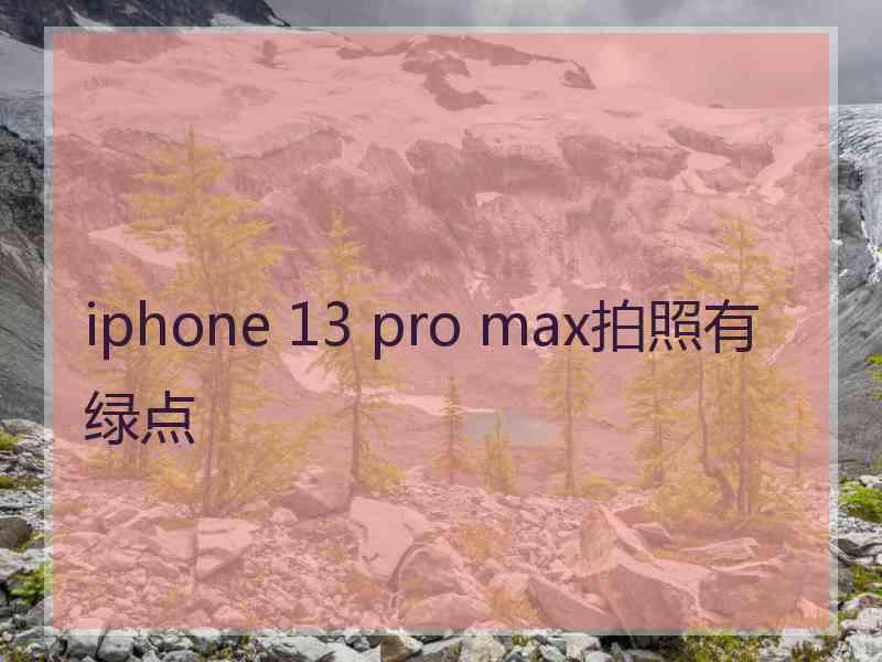 iphone 13 pro max拍照有绿点