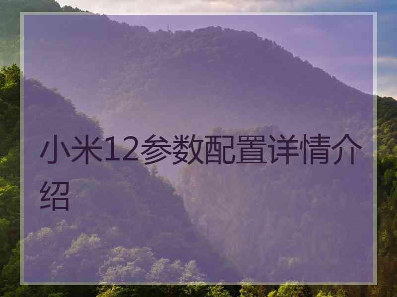 小米12参数配置详情介绍