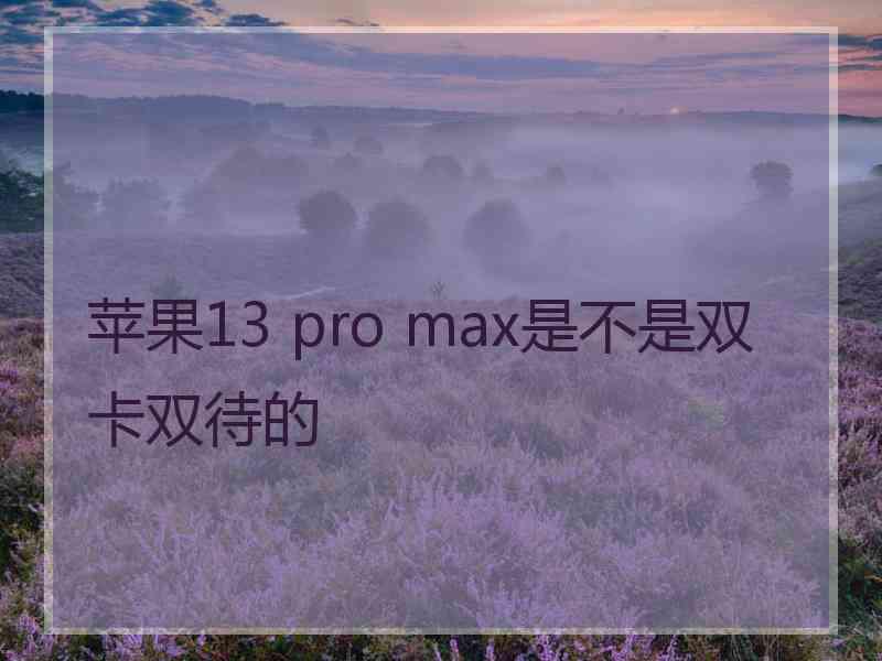 苹果13 pro max是不是双卡双待的