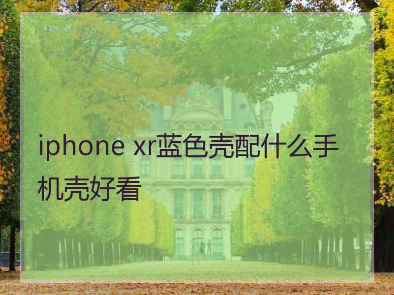 iphone xr蓝色壳配什么手机壳好看