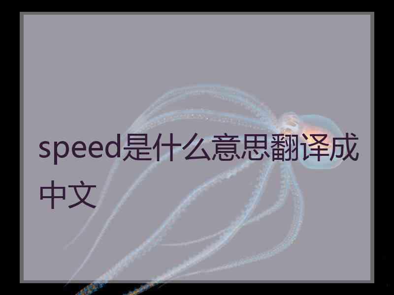 speed是什么意思翻译成中文