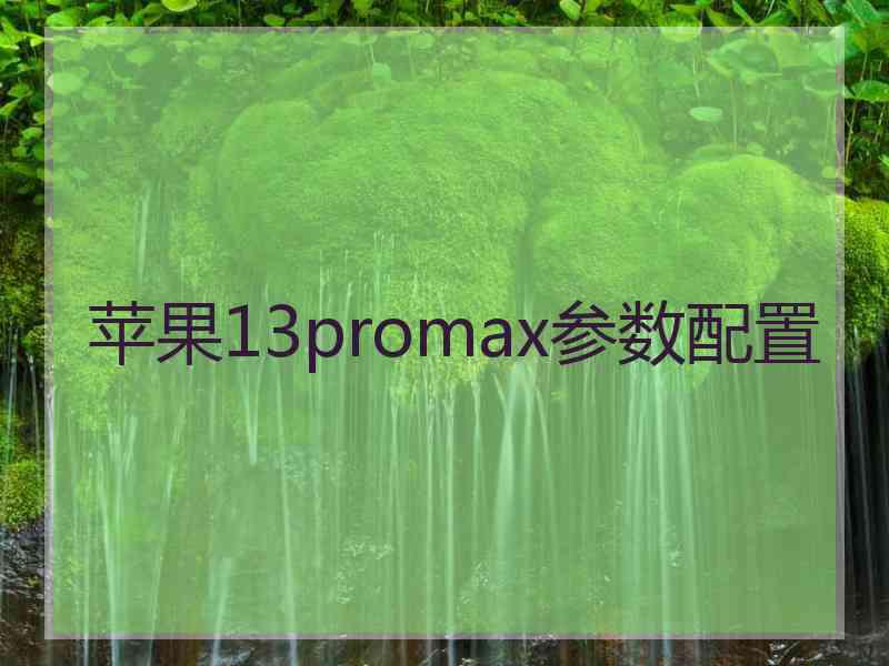 苹果13promax参数配置