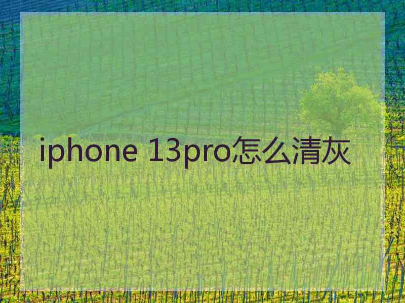 iphone 13pro怎么清灰