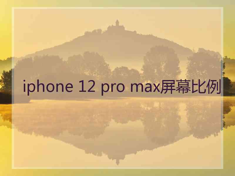 iphone 12 pro max屏幕比例