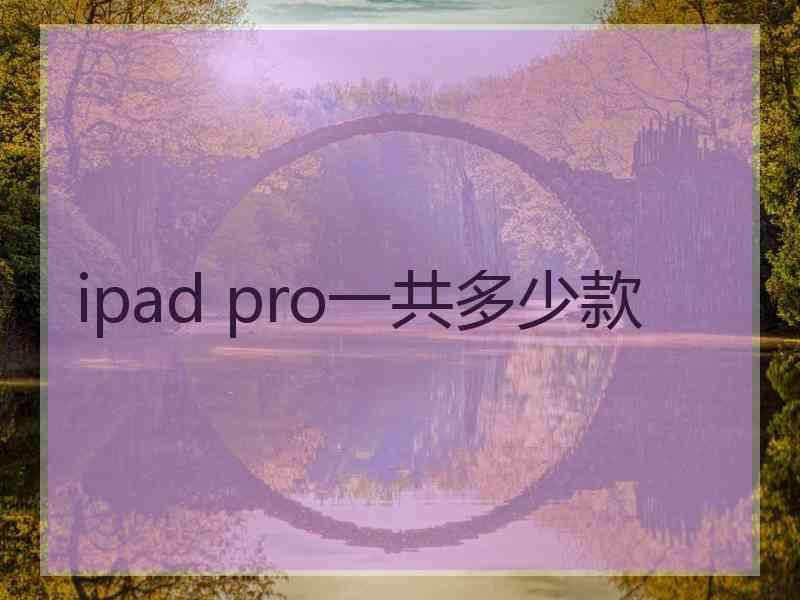 ipad pro一共多少款