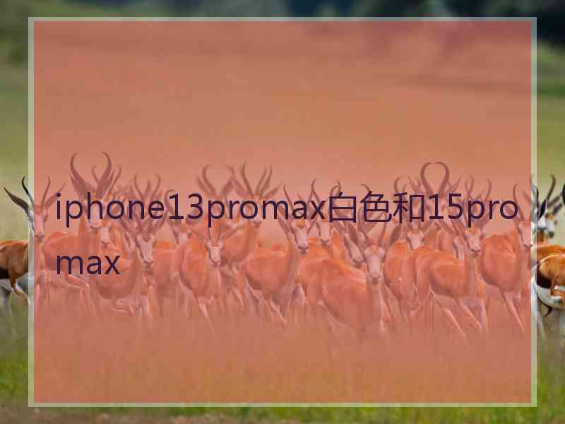 iphone13promax白色和15promax