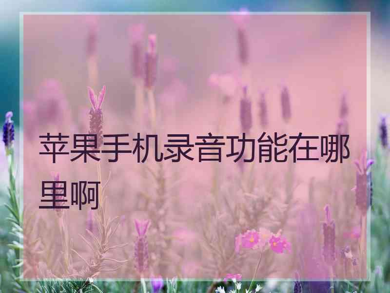 苹果手机录音功能在哪里啊