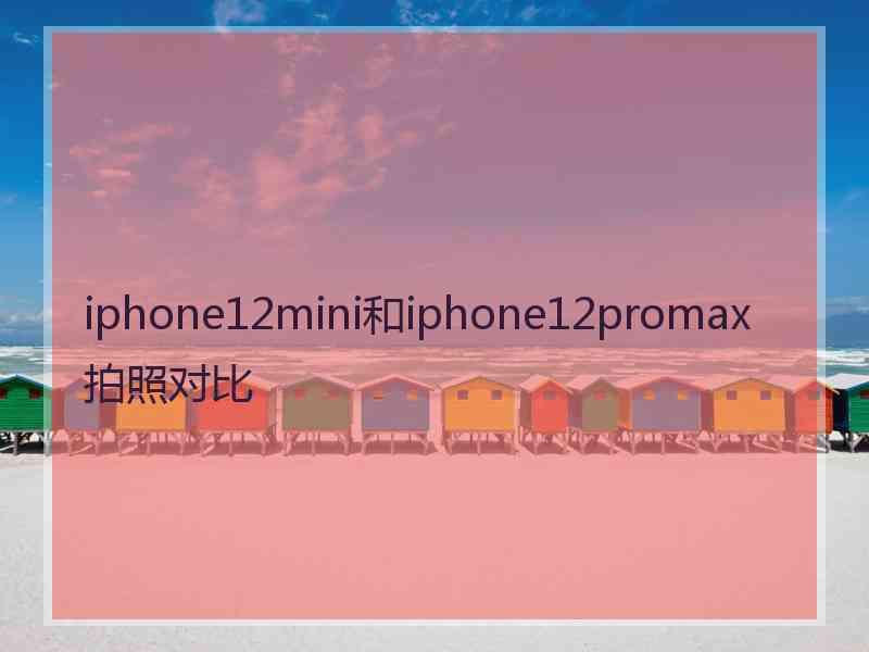 iphone12mini和iphone12promax拍照对比