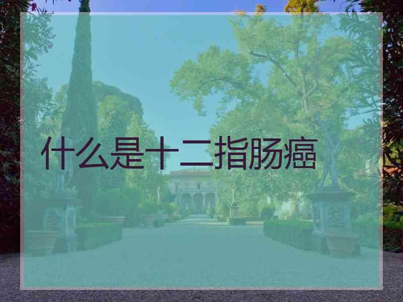 什么是十二指肠癌