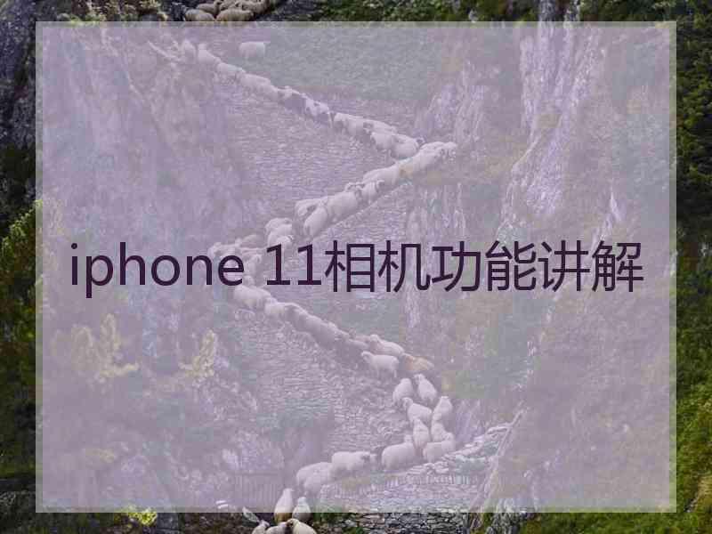 iphone 11相机功能讲解