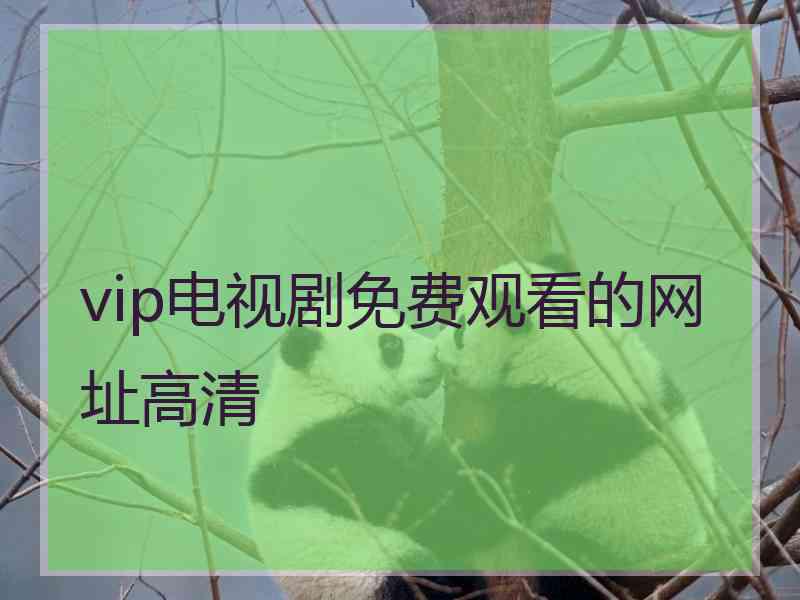 vip电视剧免费观看的网址高清