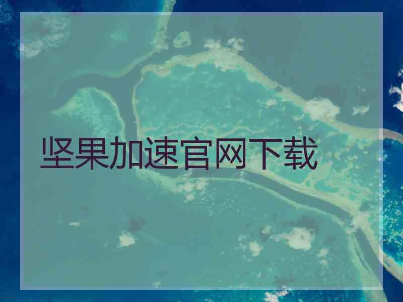 坚果加速官网下载