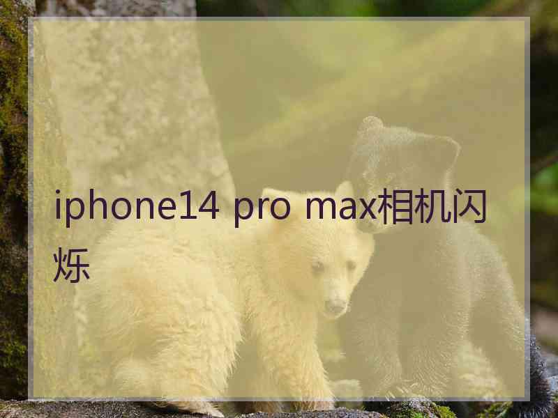 iphone14 pro max相机闪烁