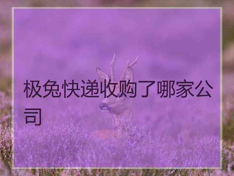 极兔快递收购了哪家公司