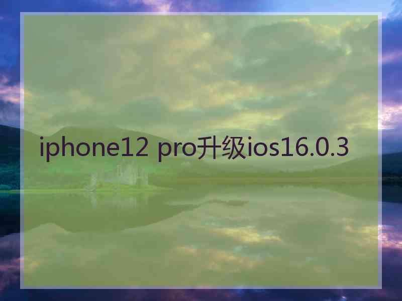 iphone12 pro升级ios16.0.3