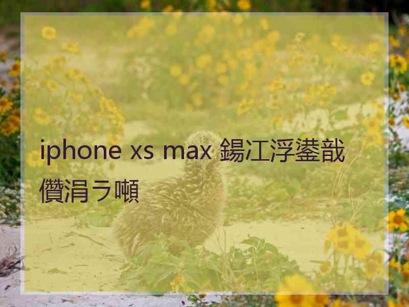 iphone xs max 鍚冮浮鍙戠儹涓ラ噸