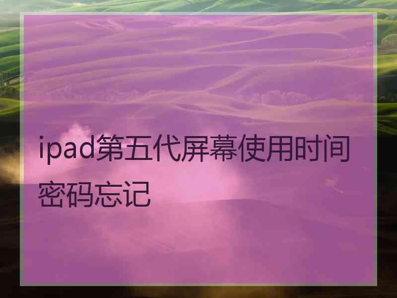 ipad第五代屏幕使用时间密码忘记