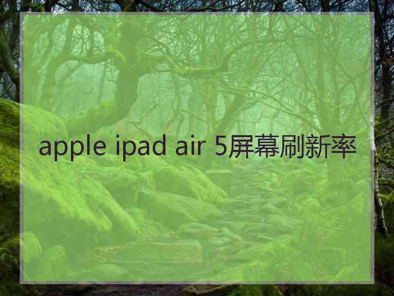 apple ipad air 5屏幕刷新率