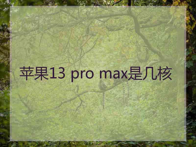 苹果13 pro max是几核