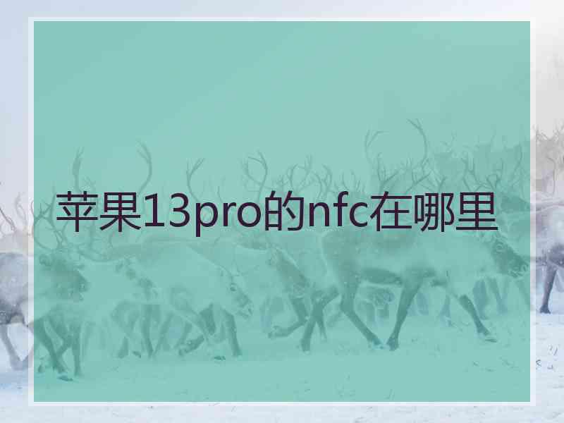 苹果13pro的nfc在哪里