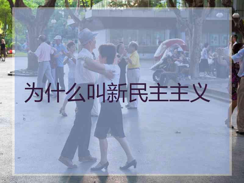 为什么叫新民主主义