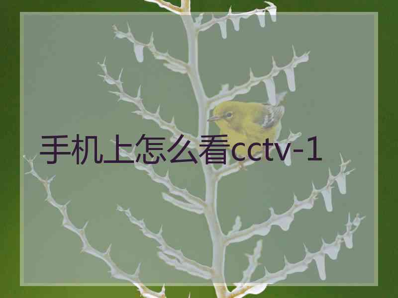 手机上怎么看cctv-1