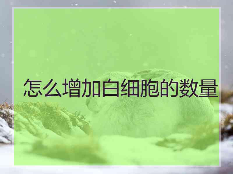 怎么增加白细胞的数量