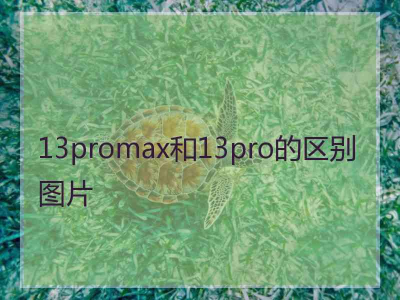 13promax和13pro的区别图片