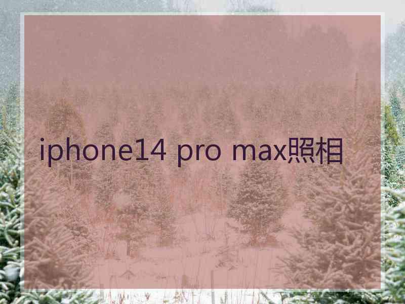 iphone14 pro max照相