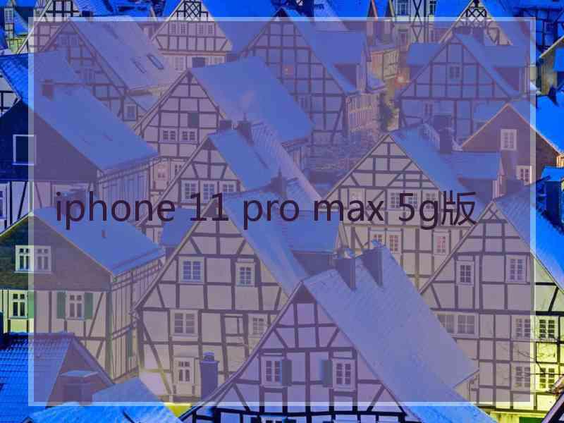 iphone 11 pro max 5g版