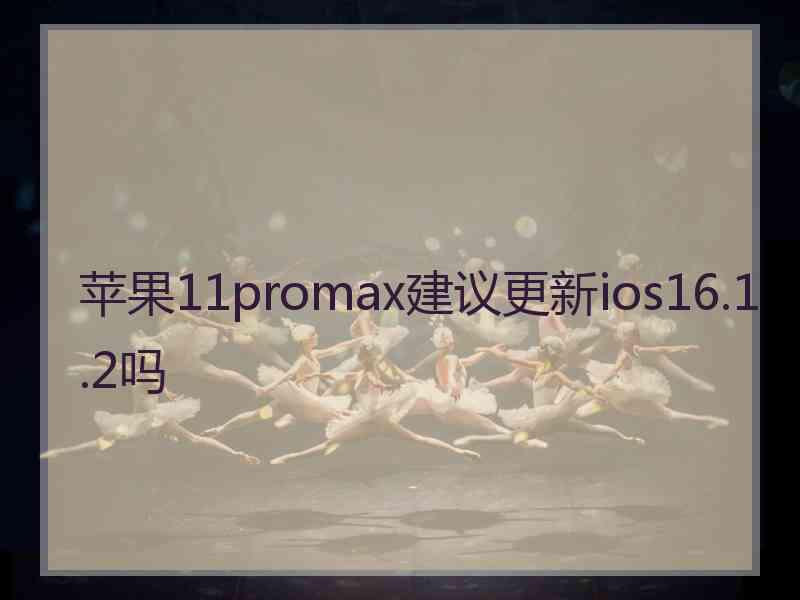 苹果11promax建议更新ios16.1.2吗