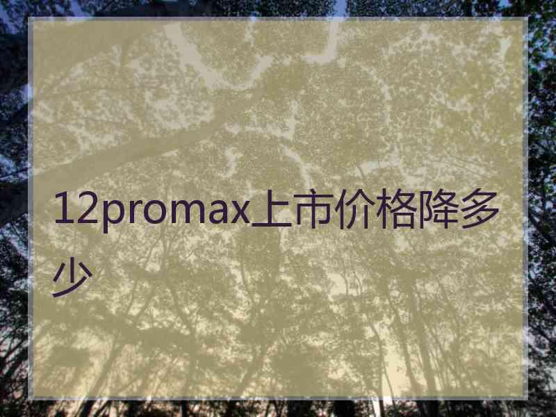 12promax上市价格降多少