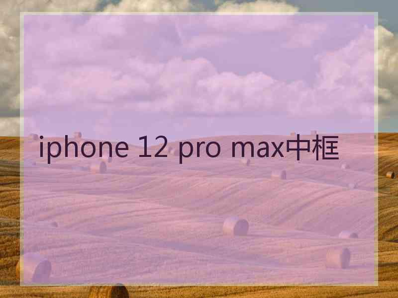 iphone 12 pro max中框