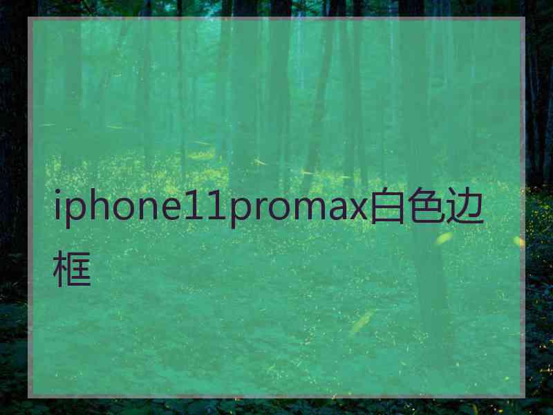 iphone11promax白色边框