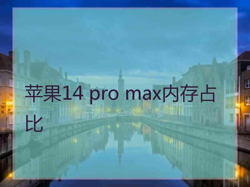 苹果14 pro max内存占比