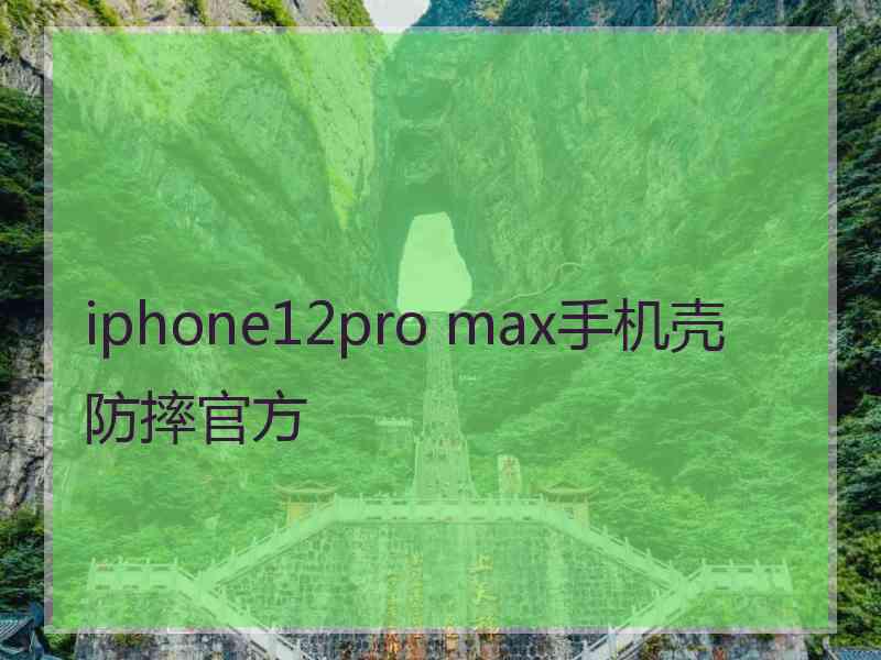 iphone12pro max手机壳防摔官方