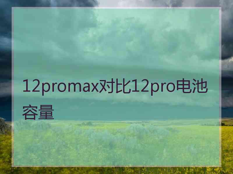 12promax对比12pro电池容量