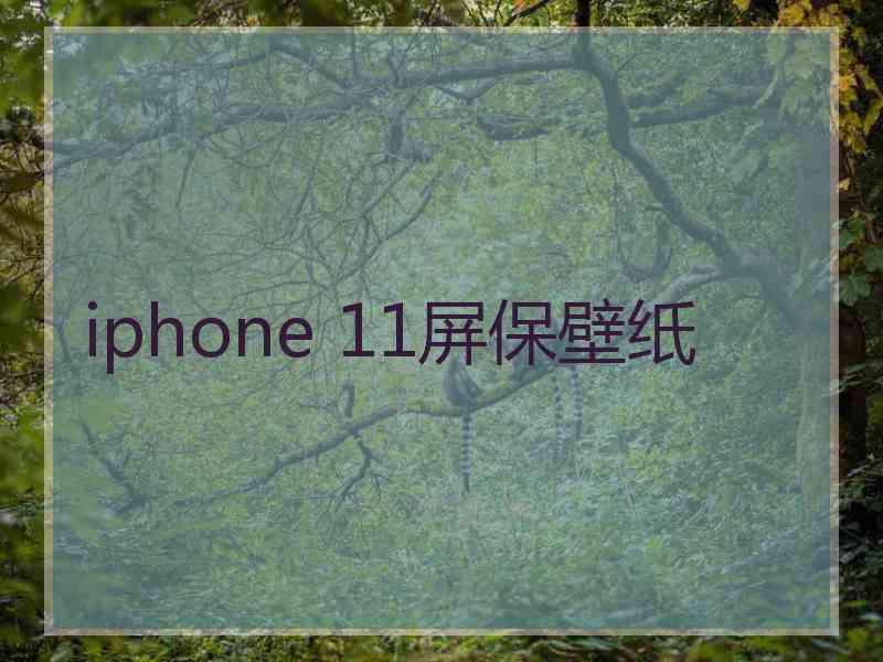 iphone 11屏保壁纸