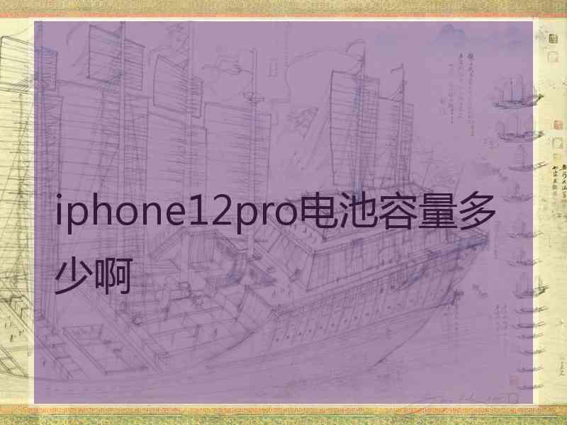 iphone12pro电池容量多少啊