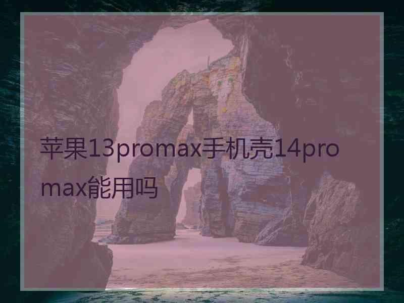 苹果13promax手机壳14pro max能用吗