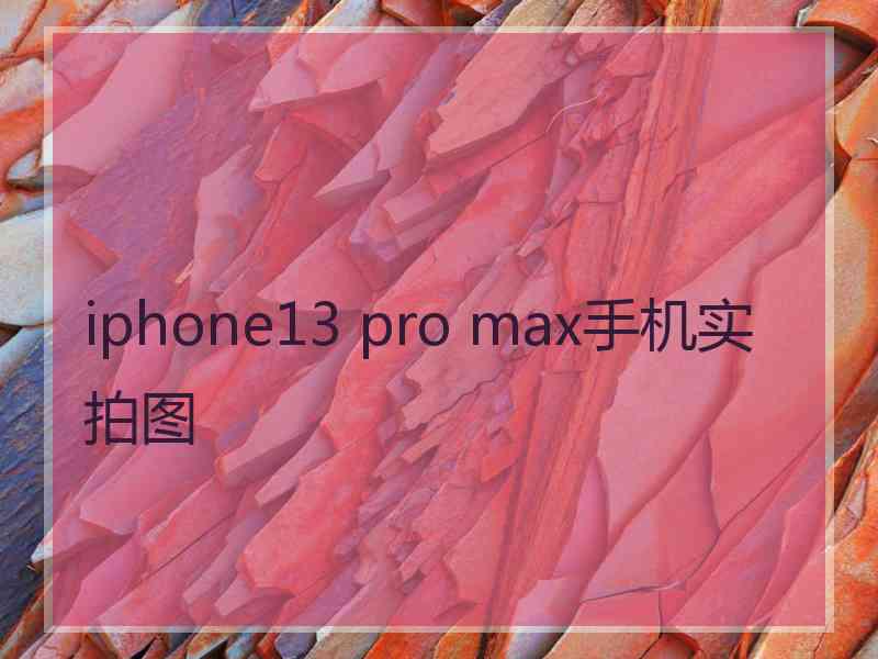 iphone13 pro max手机实拍图