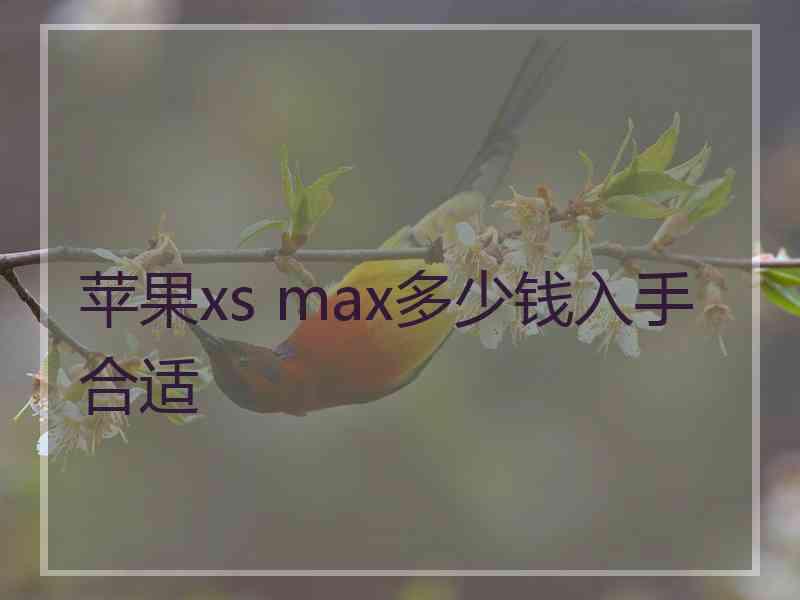 苹果xs max多少钱入手合适